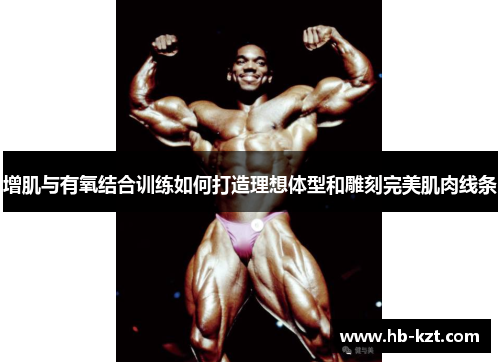 增肌与有氧结合训练如何打造理想体型和雕刻完美肌肉线条