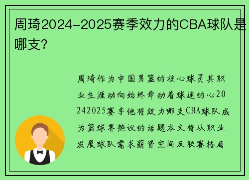 周琦2024-2025赛季效力的CBA球队是哪支？